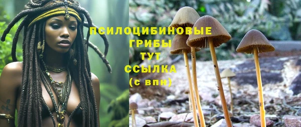 ECSTASY Мегион