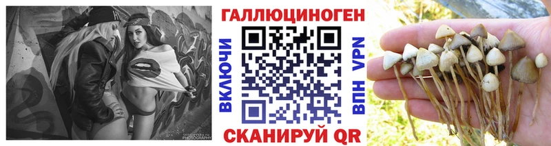 Галлюциногенные грибы Psilocybine cubensis  Купить  Надым 